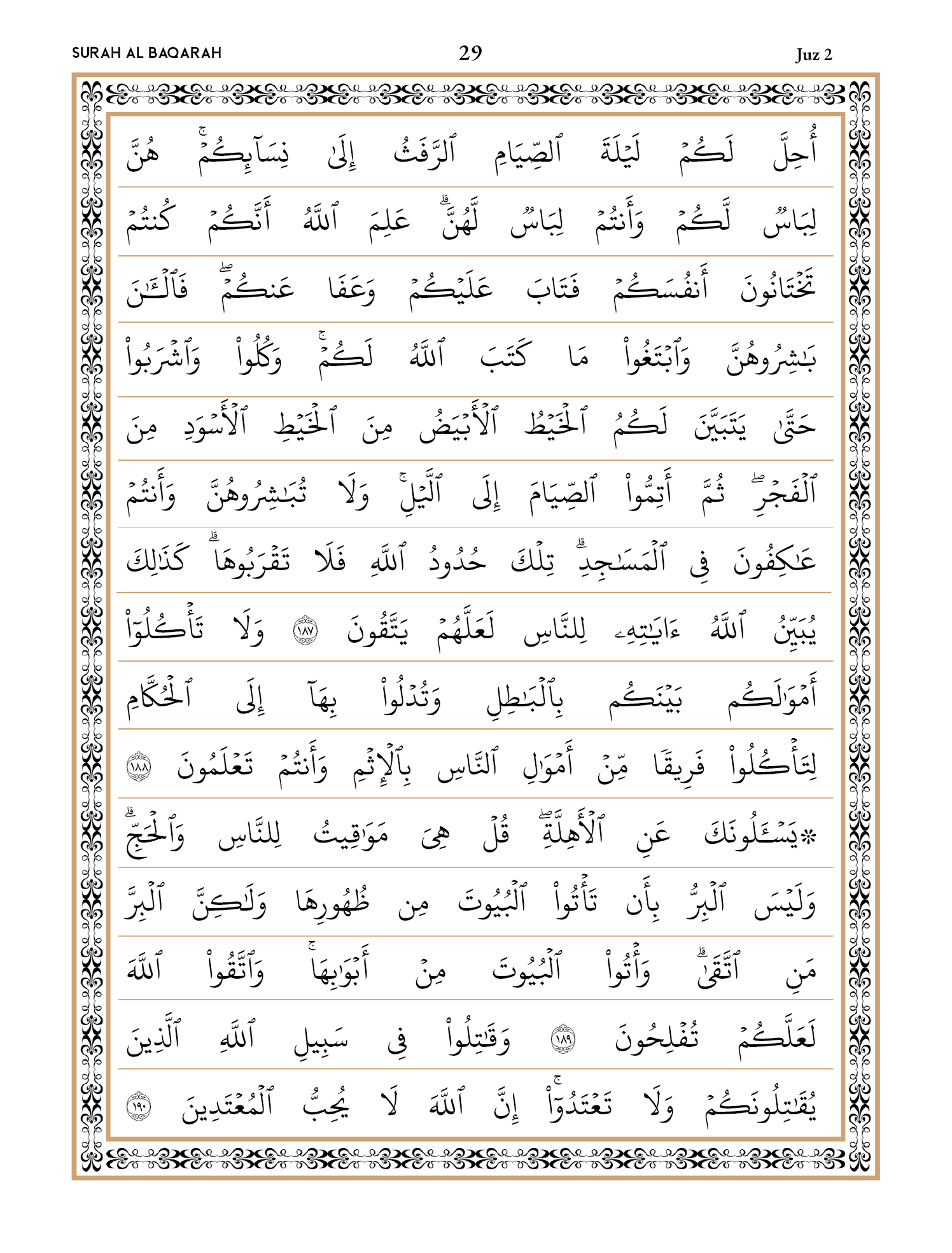 Quran Page 29